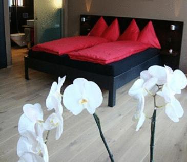 Hotel Quersinn Pfäffikon Cameră foto